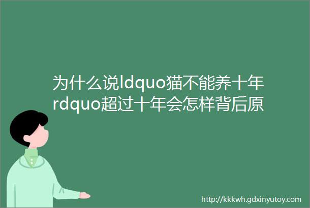 为什么说ldquo猫不能养十年rdquo超过十年会怎样背后原因看哭了