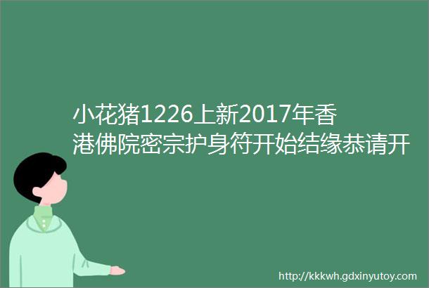 小花猪1226上新2017年香港佛院密宗护身符开始结缘恭请开运大吉