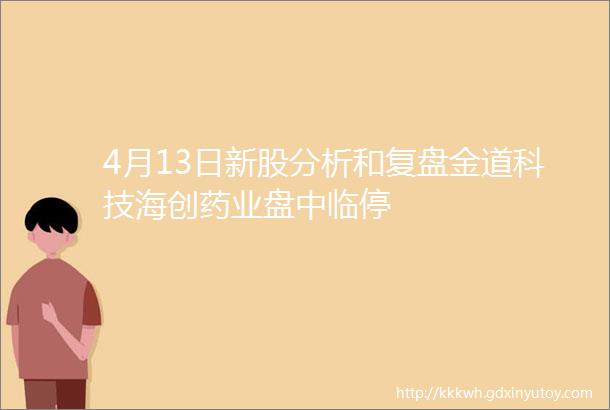 4月13日新股分析和复盘金道科技海创药业盘中临停